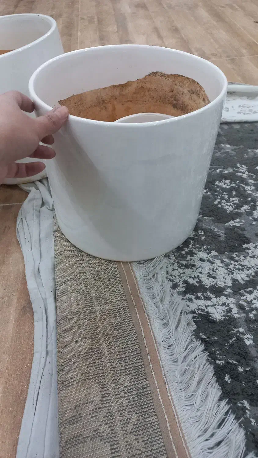 گلدان سرامیکی بزرگ|گل و گیاه طبیعی|تهران, مشیریه|دیوار