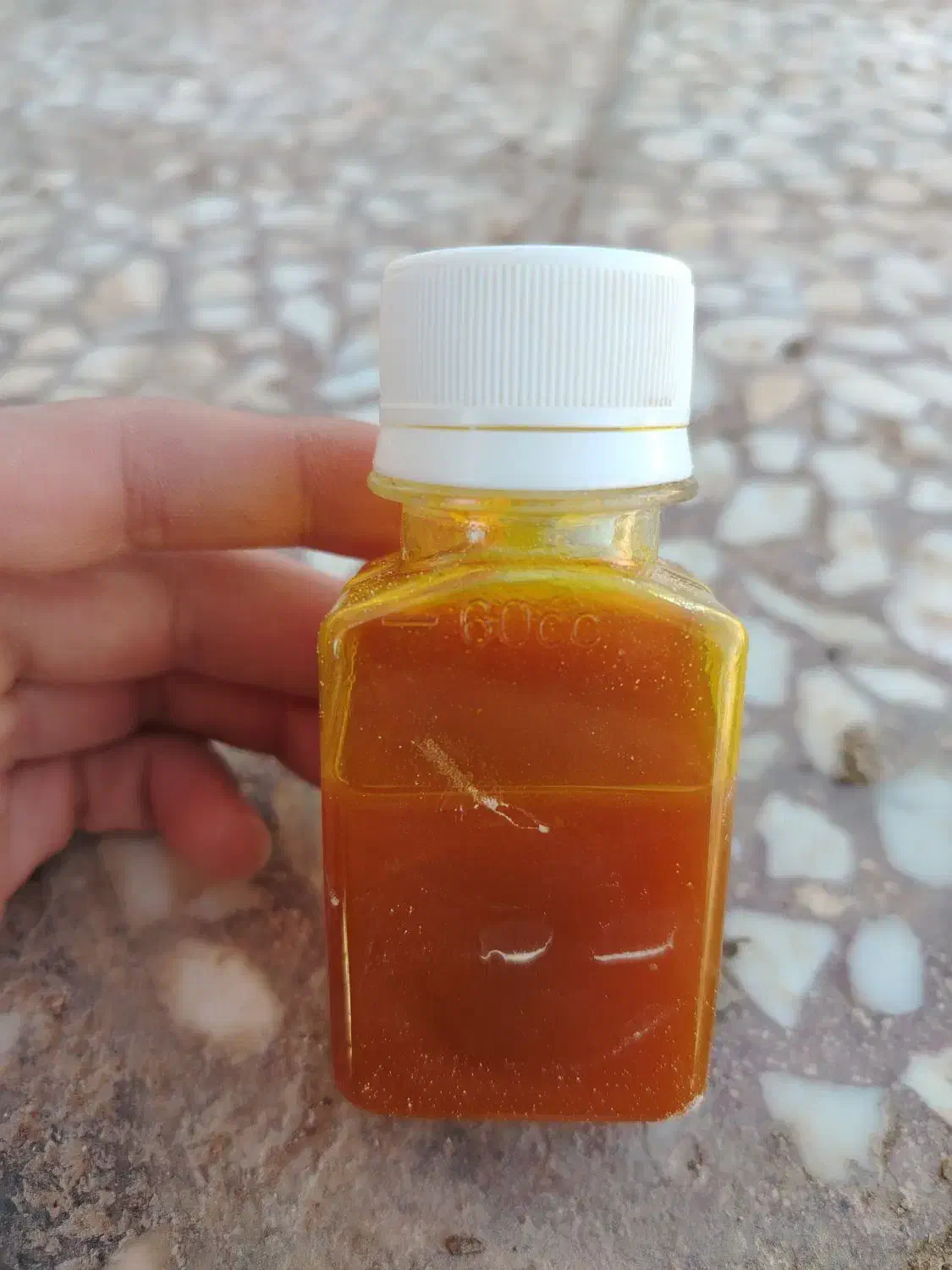 تخم‌نطفه دار محلی .|حیوانات مزرعه|نجف‌آباد, ولیعصر|دیوار