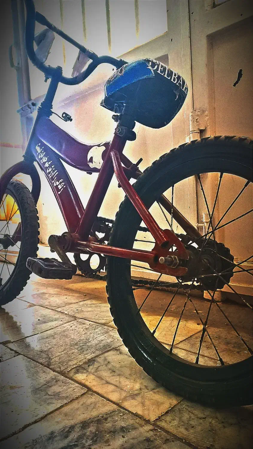 دوچرخه 16|دوچرخه، اسکیت، اسکوتر|بیرجند, |دیوار