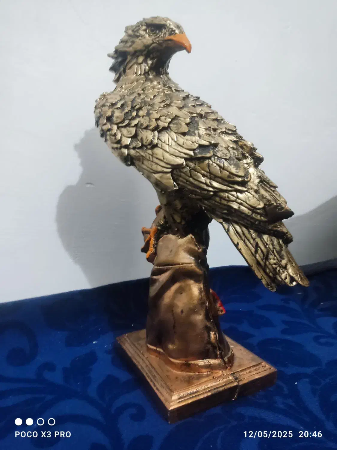 مجسمه عقاب|مجسمه، تندیس، ماکت|بوشهر, |دیوار