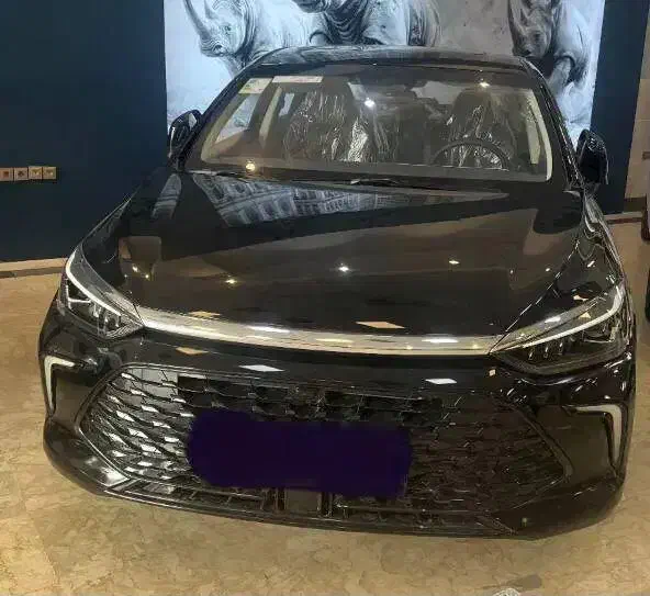 بیجینگ U5 پلاس|خودرو سواری و وانت|اصفهان, نقش جهان|دیوار