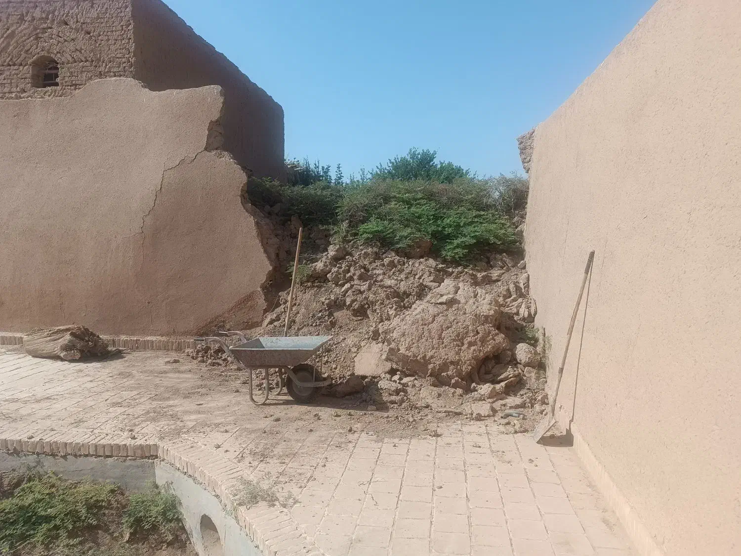 کنده پسته|گل و گیاه طبیعی|میبد, |دیوار