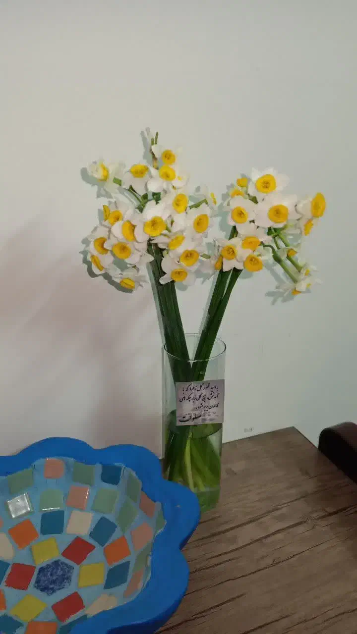 گل نرگس|گل و گیاه طبیعی|قم, عمار یاسر|دیوار