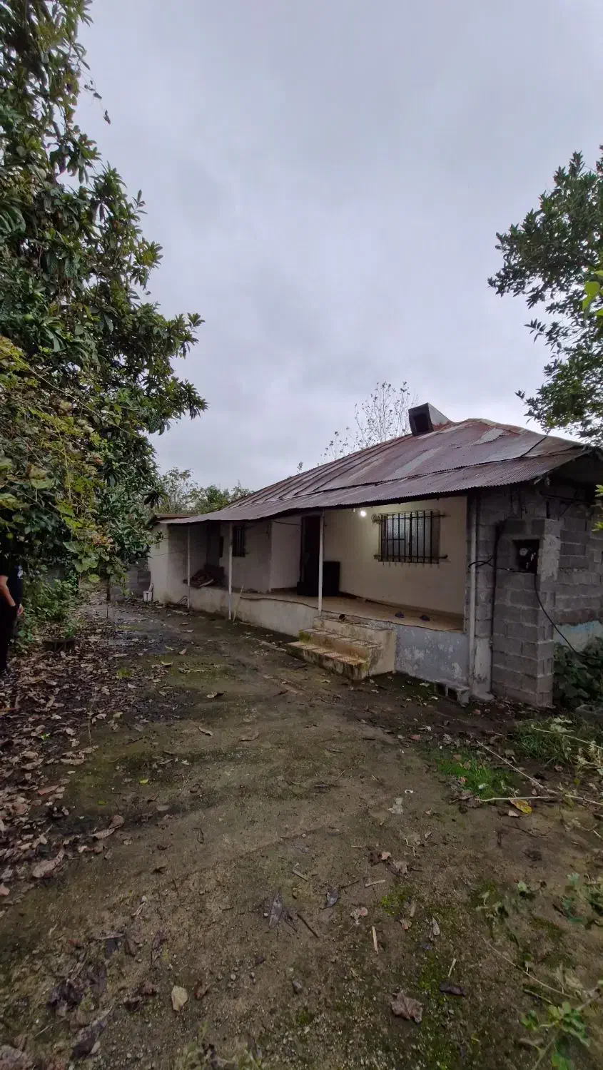 خانه کلنگی ۸ هزار متری|فروش خانه و ویلا|خشکبیجار, |دیوار