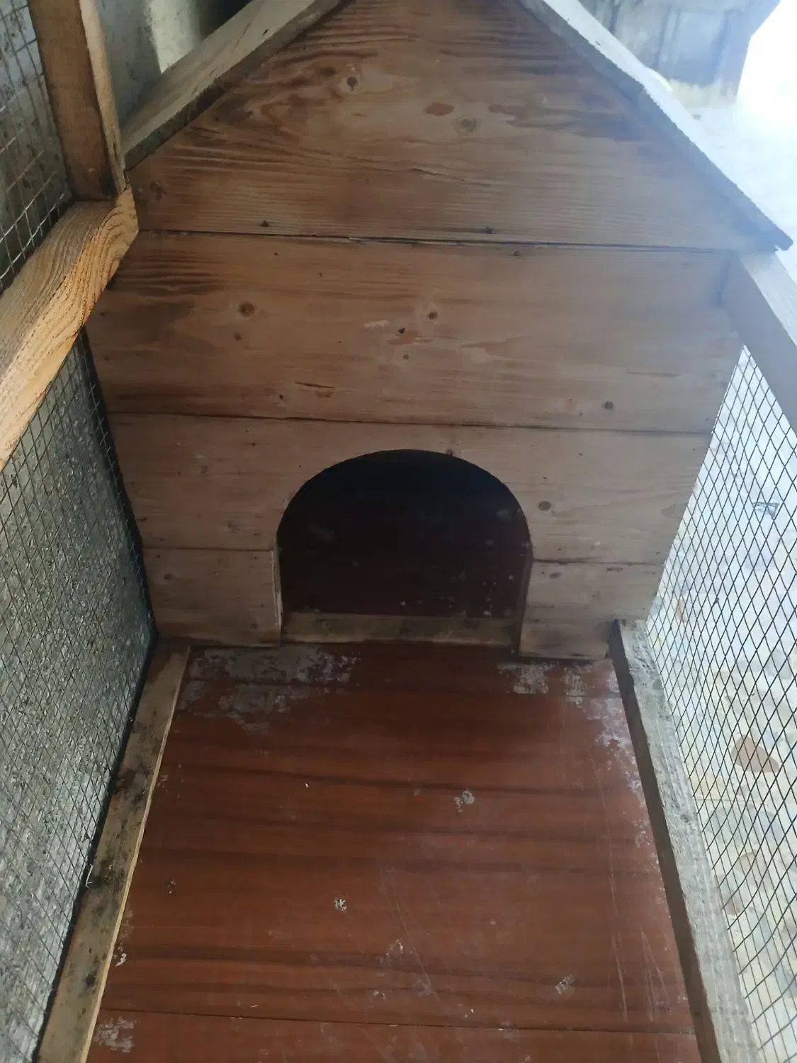 قفس حیوانات|لوازم جانبی حیوانات|قائم‌شهر, |دیوار