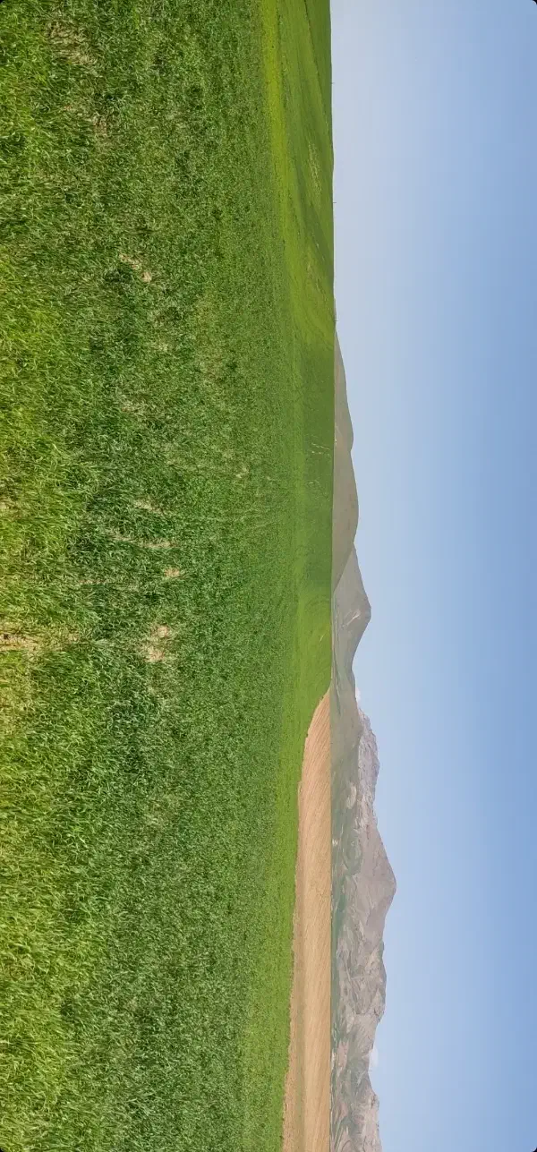 زمین کشاورزی|فروش زمین و ملک کلنگی|کاکاوند, |دیوار