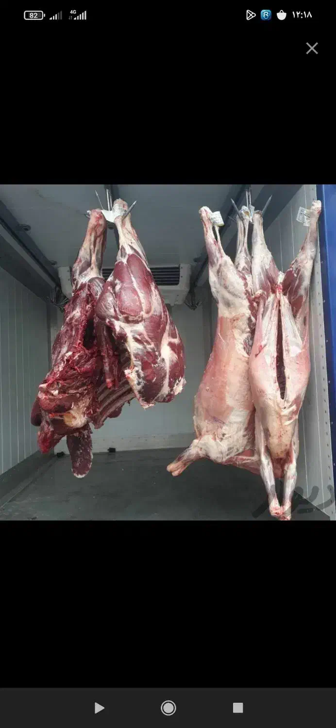 قصاب.گوسفندخونی|خدمات پیشه و مهارت|مشهد, طلاب|دیوار