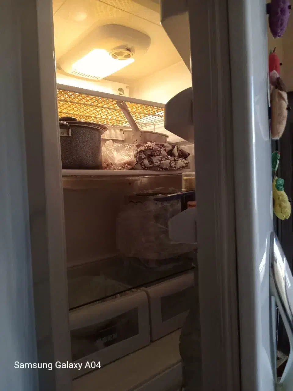 یخچال|یخچال و فریزر|گلبهار, شهر جدید گلبهار|دیوار