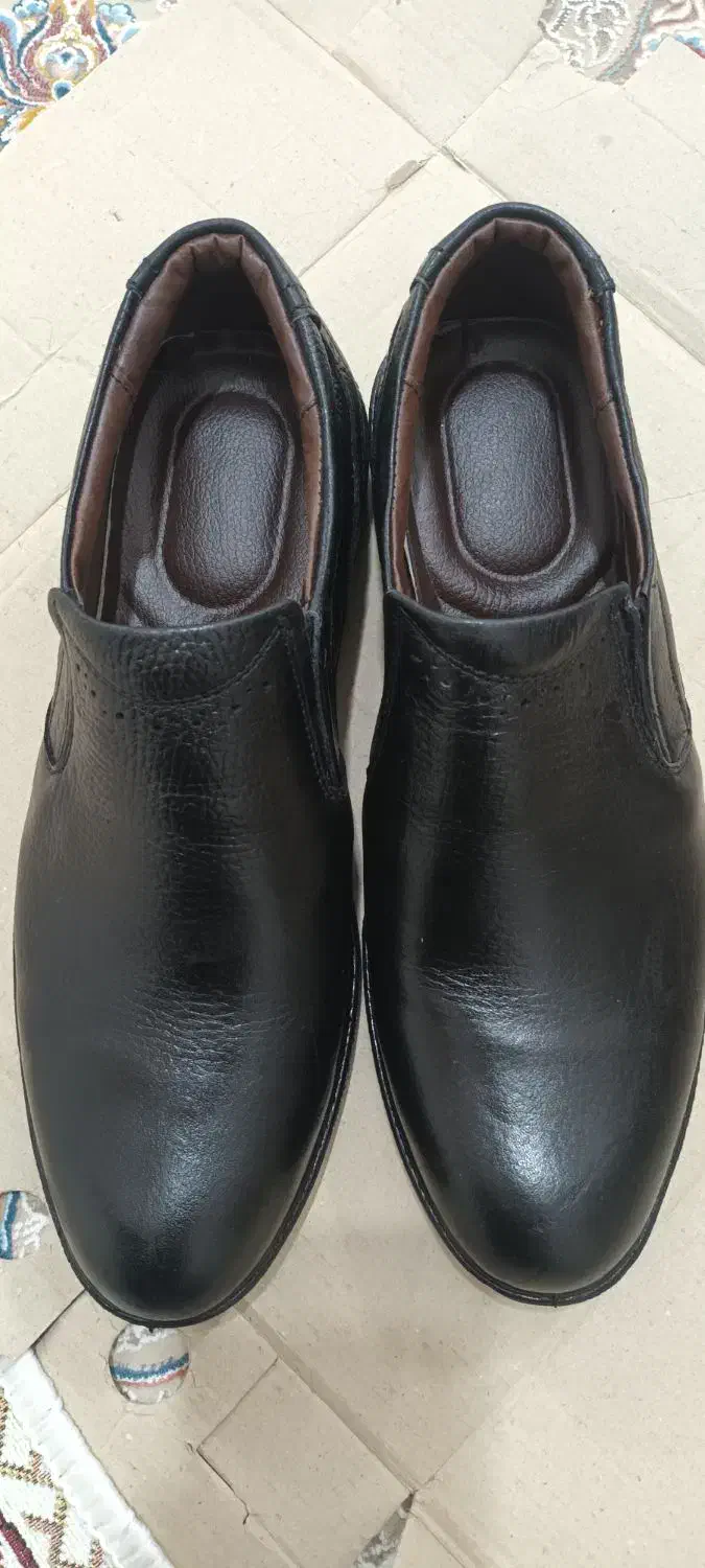 کفش نو فروشی|کیف، کفش، کمربند|آبدانان, |دیوار