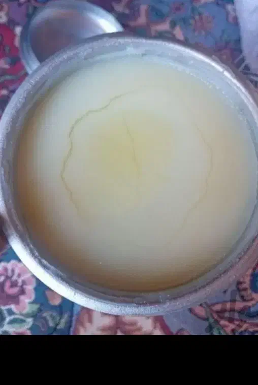 روغن گوسفندو گاو|خوردنی و آشامیدنی|قم, بوستان علوی|دیوار