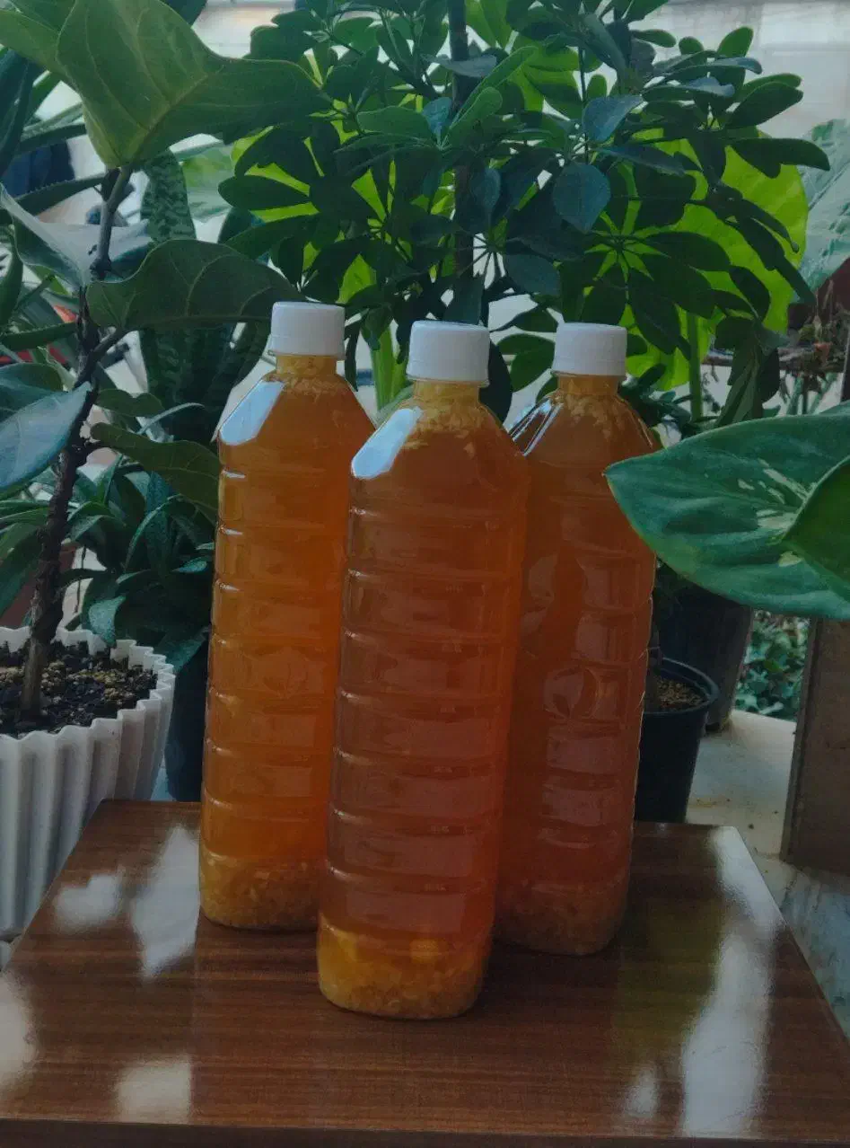 شربت رفع گرفتگی قلب عروق تضمینی|خوردنی و آشامیدنی|مینودشت, |دیوار