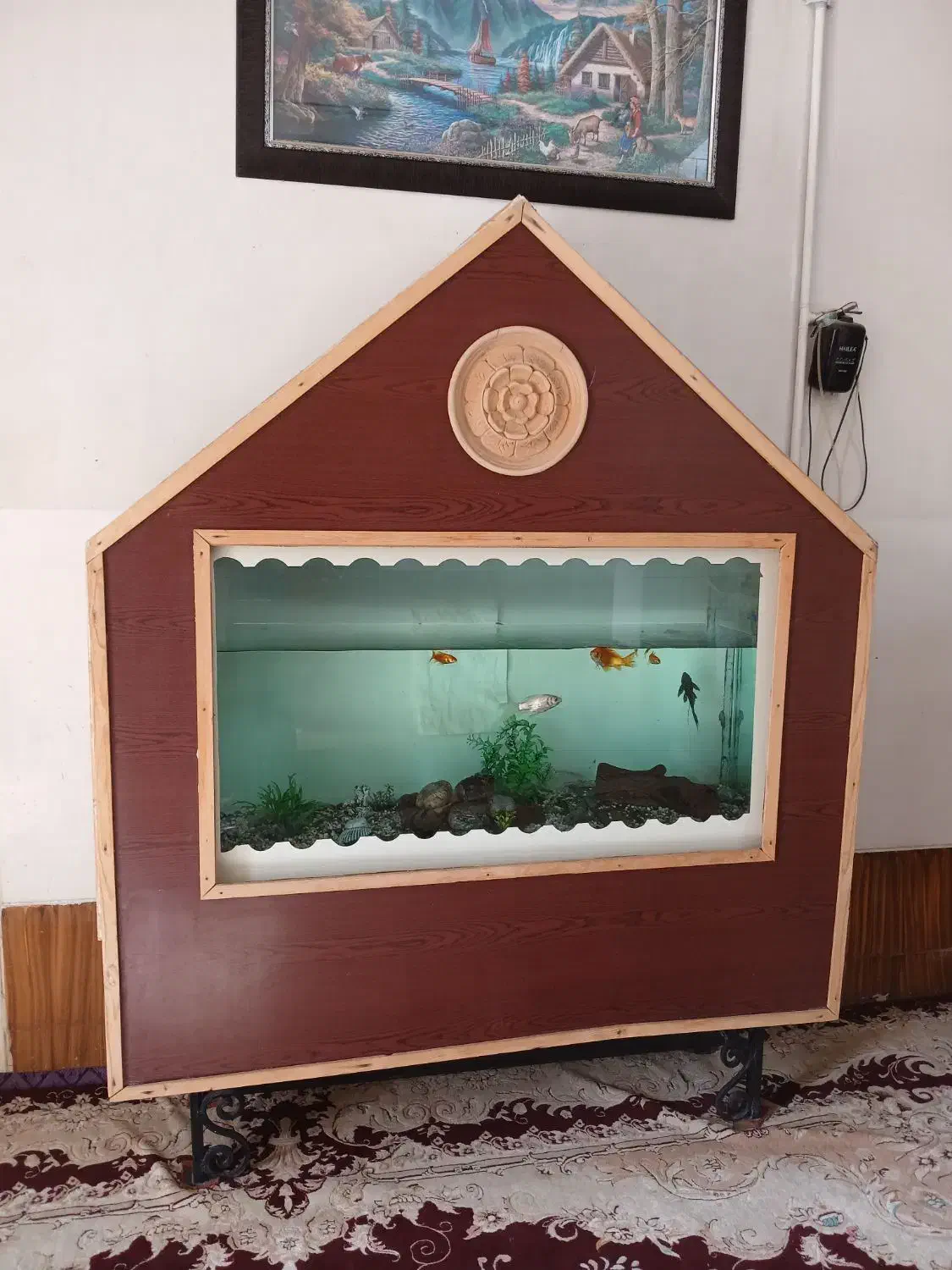 آکواریوم|ماهی|فسا, |دیوار