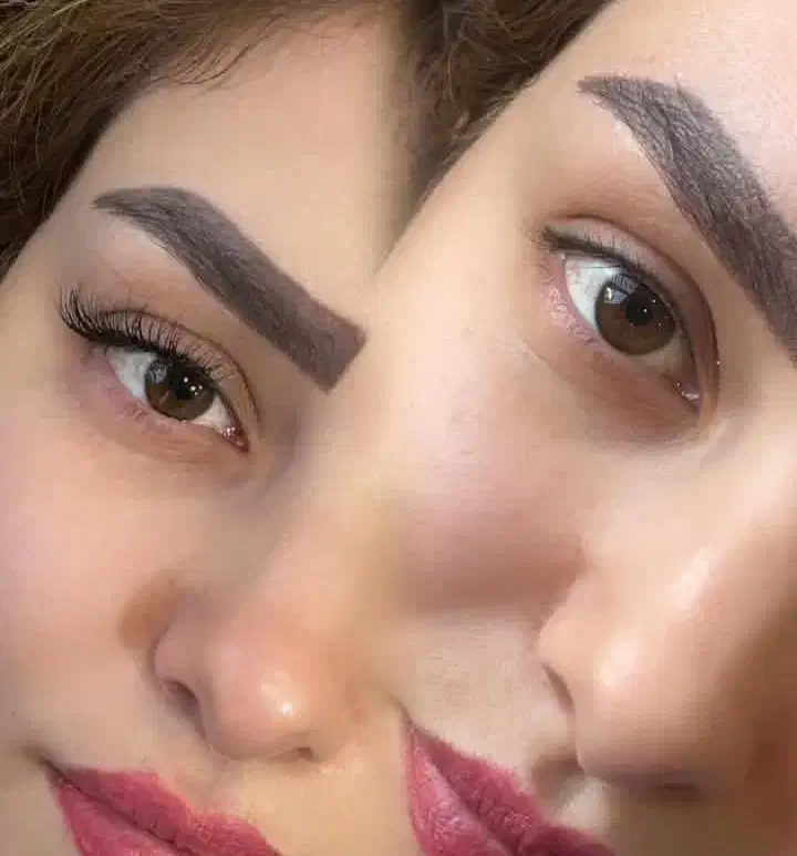 اکستشن و کاشت گیاهی در سنندج|خدمات آرایشگری و زیبایی|سنندج, |دیوار