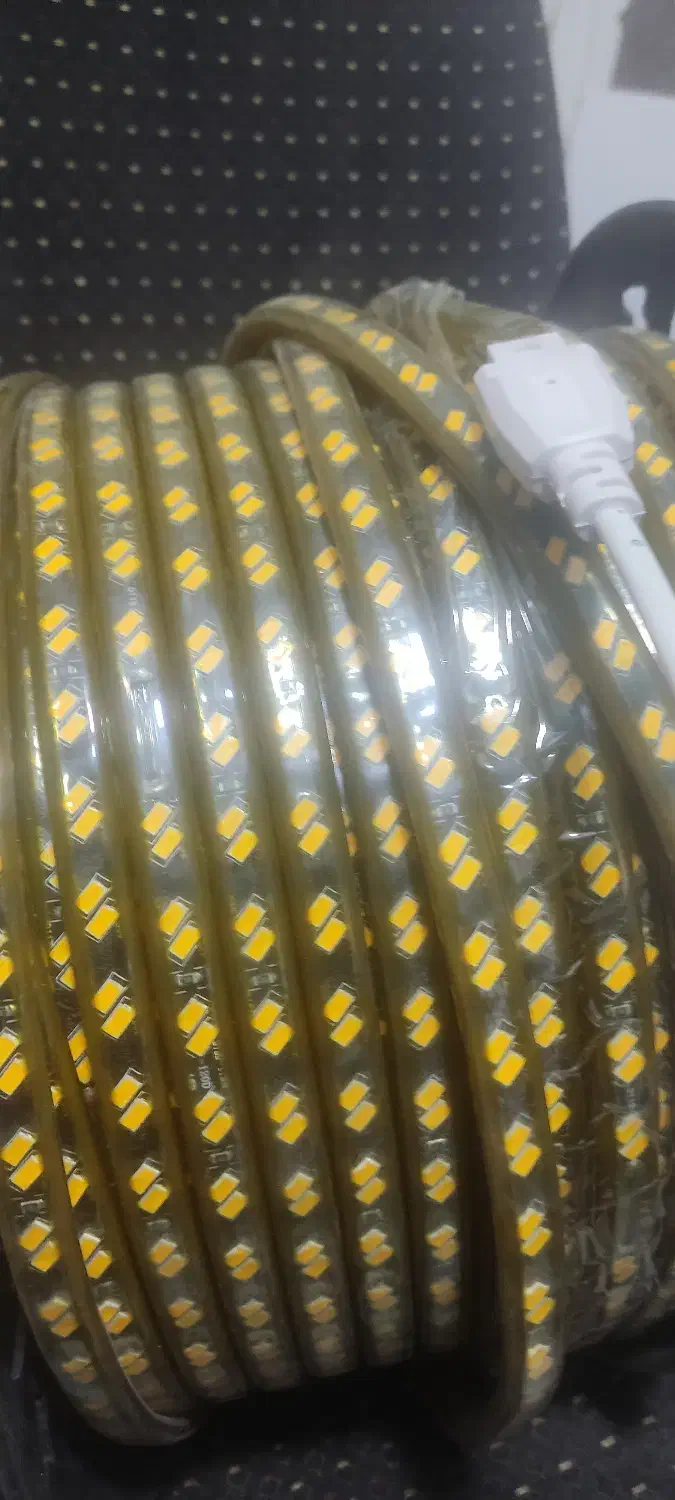 ریسه شیلنگی آبی|ریسه و چراغ تزئینی|شاهین‌شهر, سعدی جنوبی|دیوار