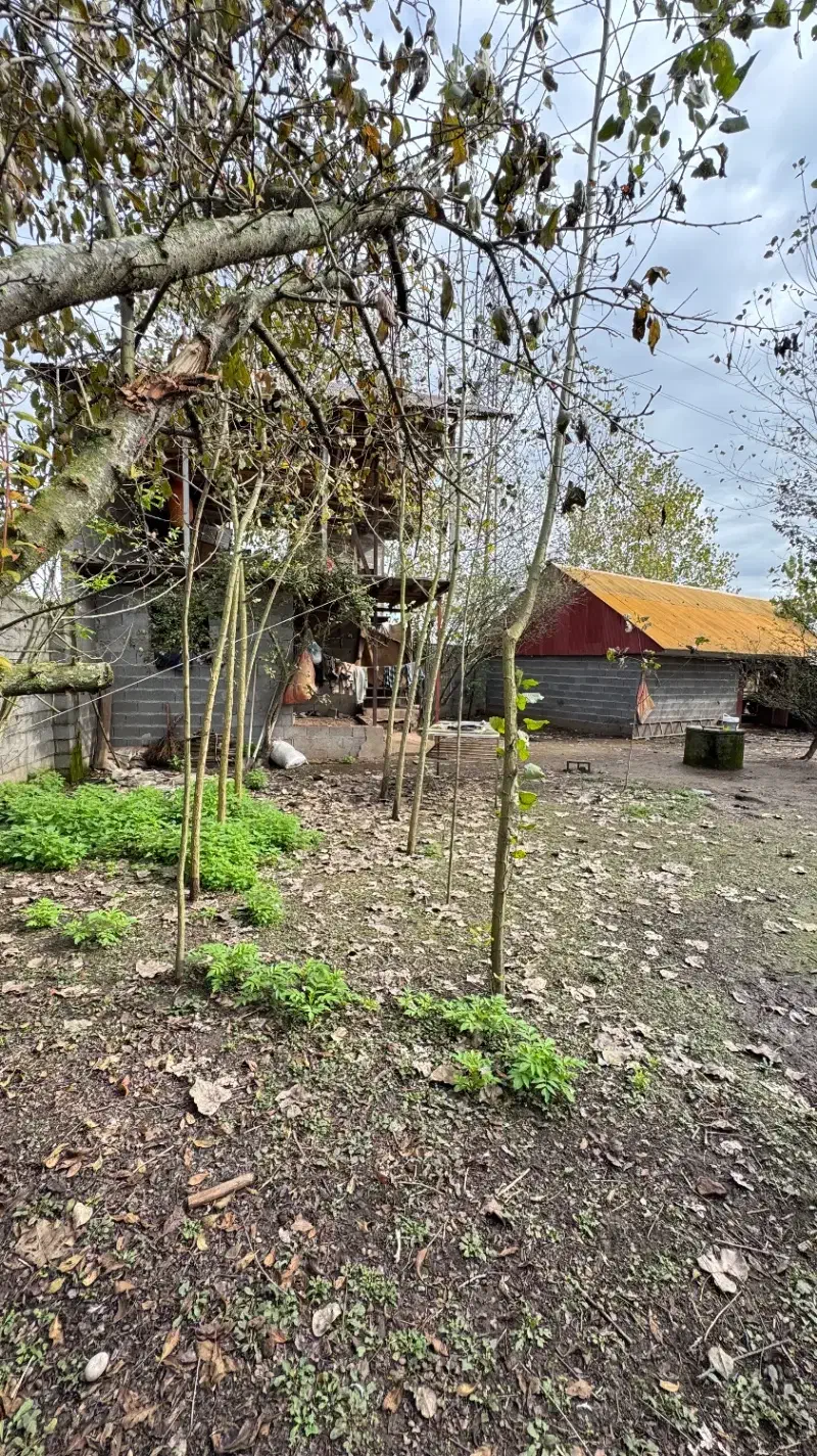 فروش زمین مسکونی در خمام|فروش زمین و ملک کلنگی|خمام, |دیوار