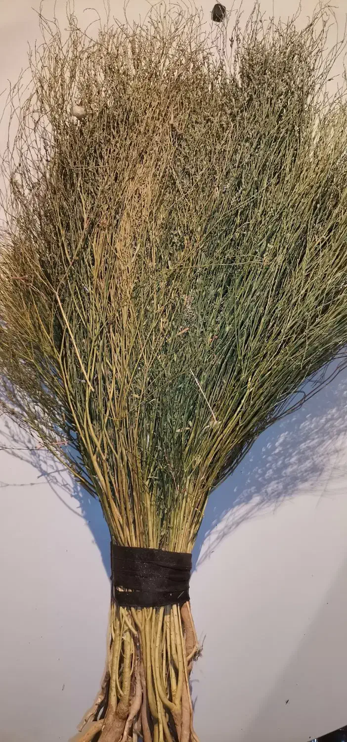 جاروی محلی|لوازم نظافت|نهاوند, |دیوار