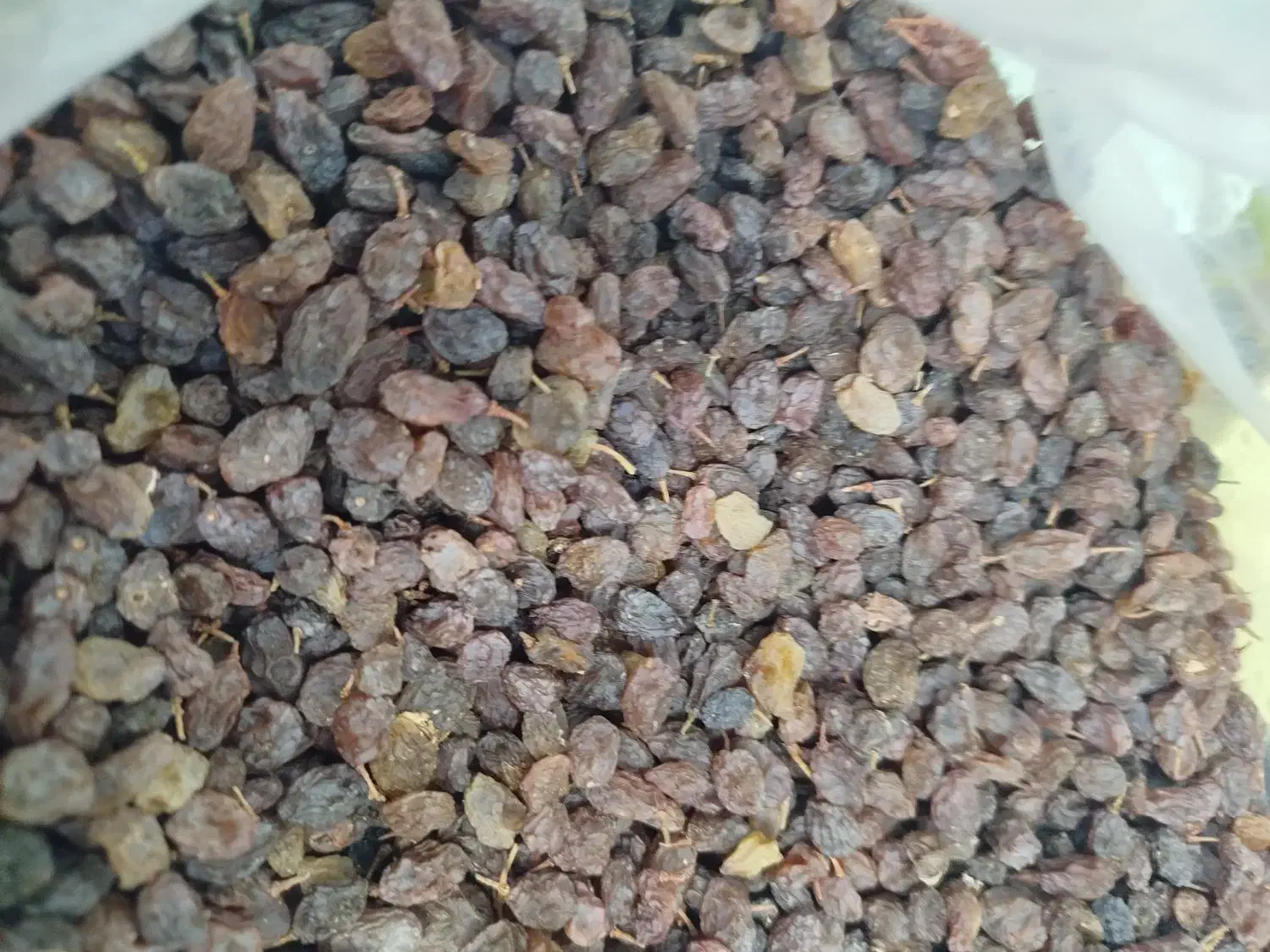 پخش عمده و جزیی کشمش آفتابی ، مویز ،|خوردنی و آشامیدنی|اهواز, منبع اب|دیوار