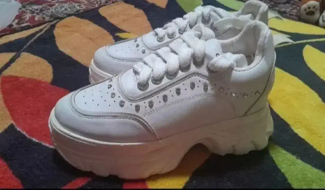 کفش مجلسی و روزمره شیک|کیف، کفش، کمربند|ایرانشهر, |دیوار