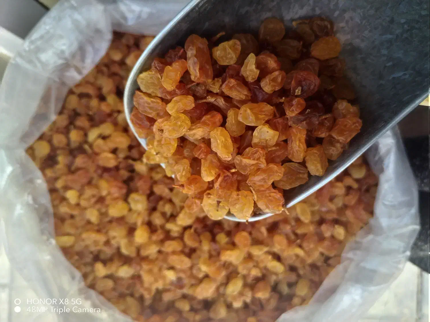 کشمش زرد امسالی  با شیره انگور محصول قوچان|خوردنی و آشامیدنی|مشهد, شهرک امام هادی (شهرک غرب)|دیوار