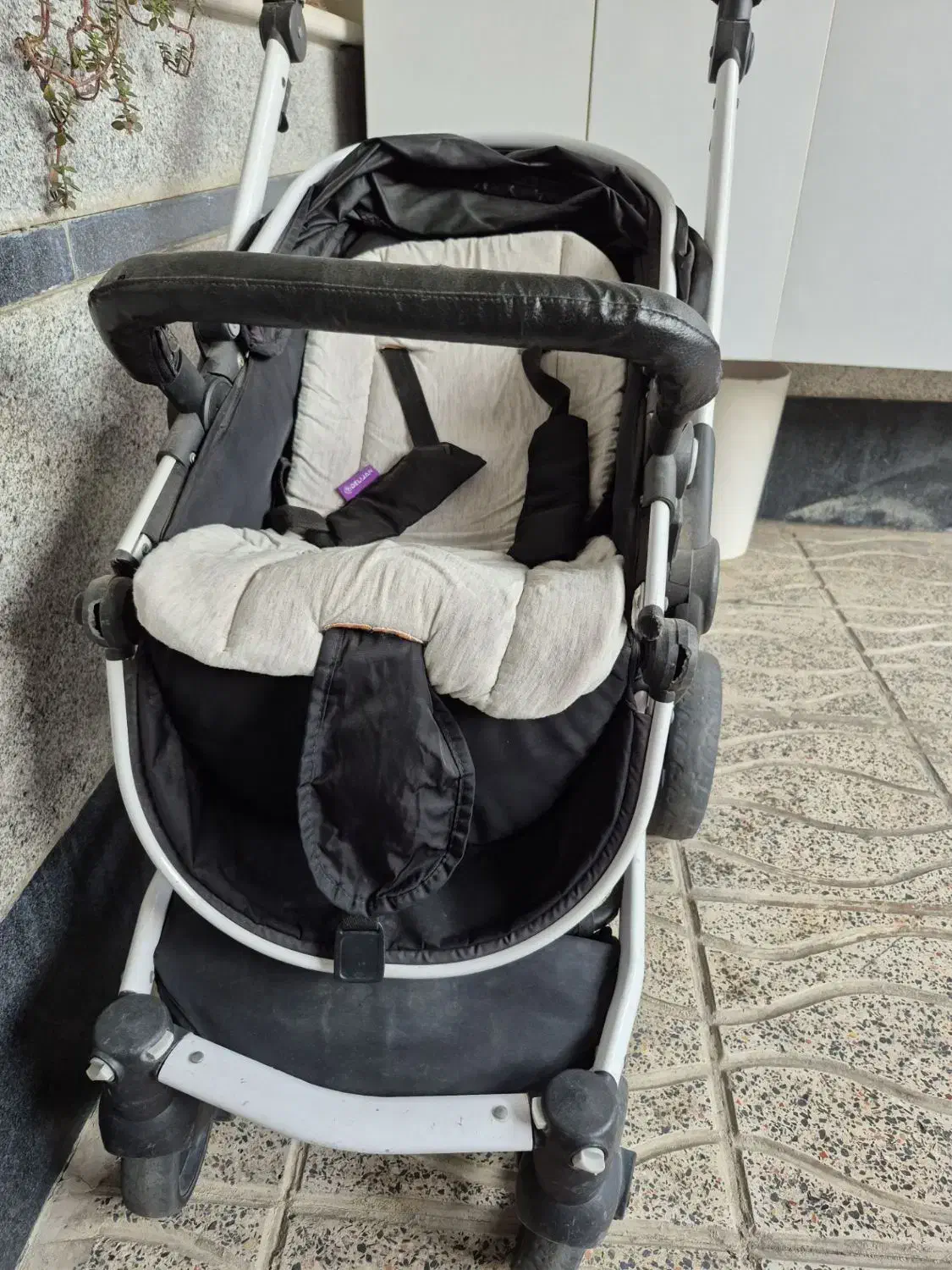 کالسکه وسه چرخ|کالسکه و لوازم جانبی|چهارباغ, |دیوار