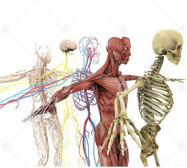 مشاوره کنکور تجربی با بهترین قیمت|خدمات آموزشی|نیشابور, دارایی|دیوار