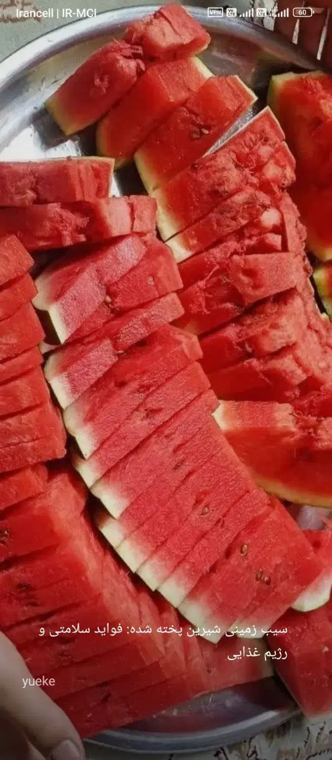 راهنمایی نصیحت|فعالیت داوطلبانه تحقیقاتی|اردبیل, |دیوار