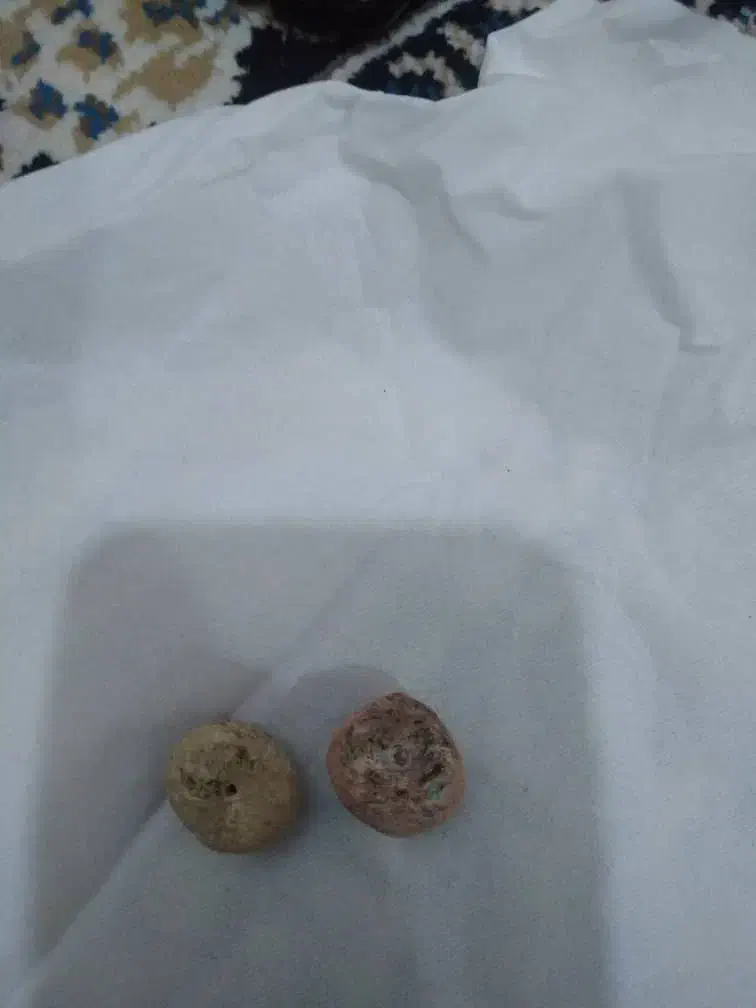 مهره برد|کلکسیون اشیاء عتیقه|بهبهان, |دیوار