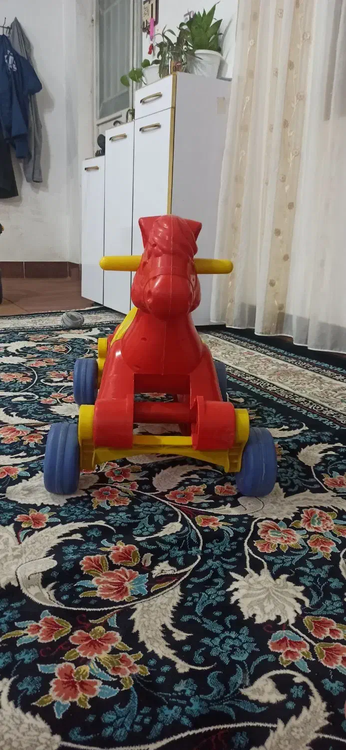 اسب راک|اسب و تجهیزات اسب‌سواری|تربت جام, میان جام|دیوار