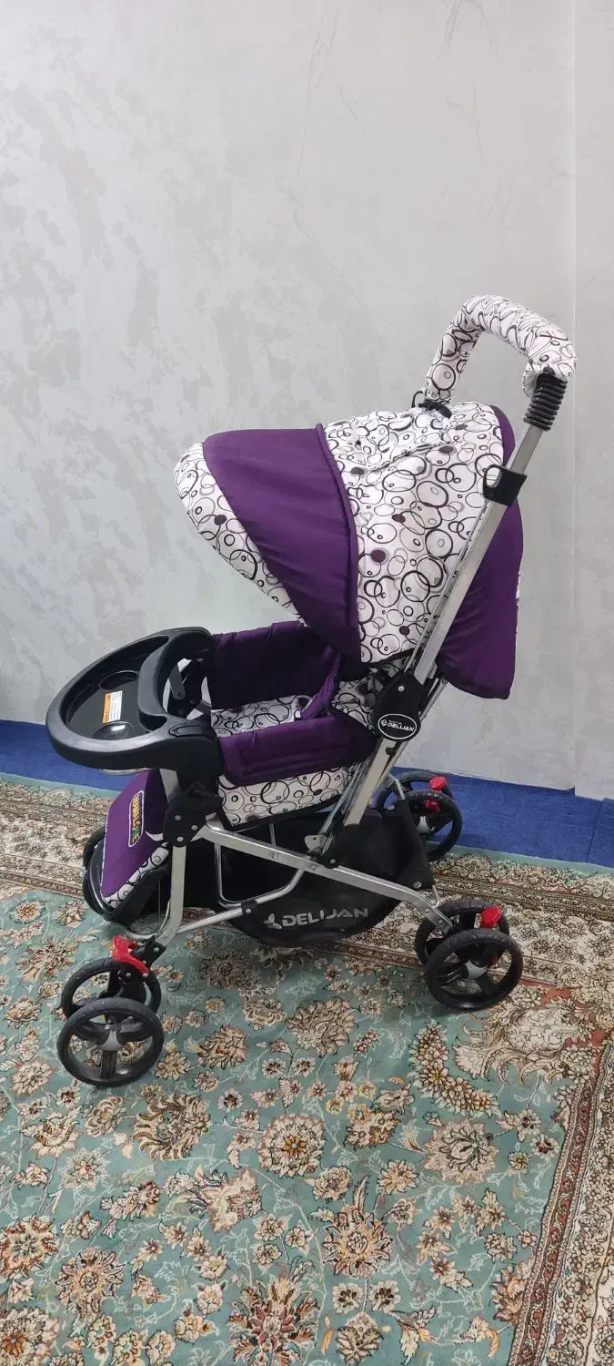 کالسکه دلیجان|کالسکه و لوازم جانبی|تهران, بهداشت|دیوار