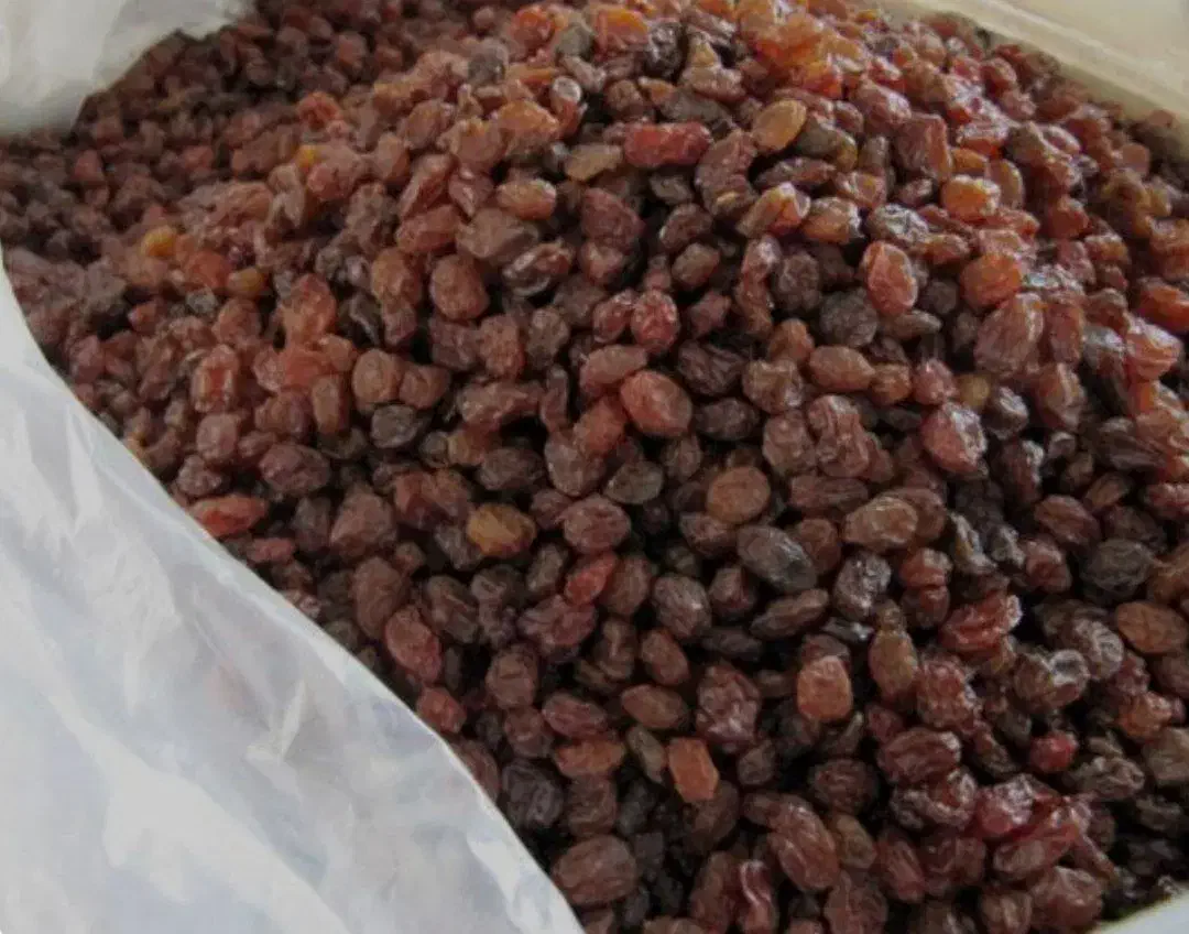 نعنا،شوید،شیره،ابغوره|خوردنی و آشامیدنی|اشتهارد, |دیوار