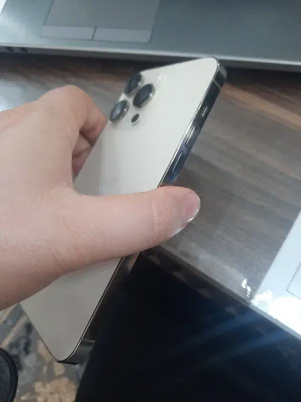 iPhone 14 Pro max|موبایل|قم, انسجام|دیوار