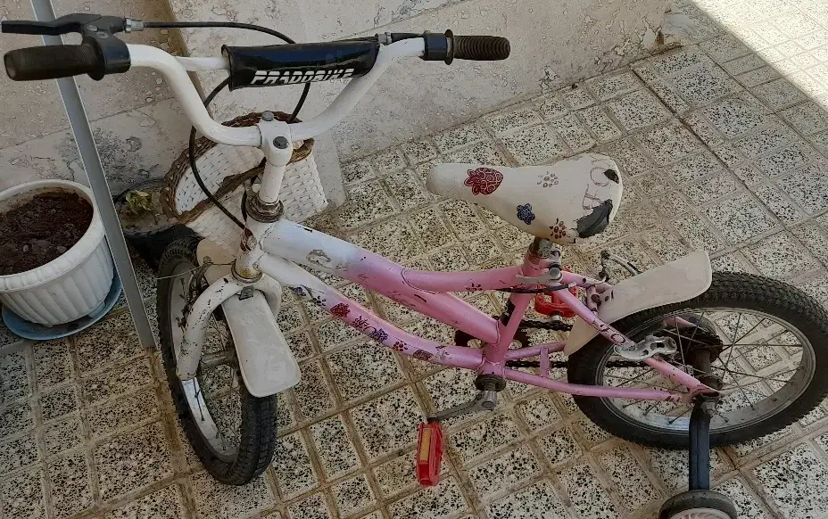 دوچرخه سایز ۱۶|دوچرخه، اسکیت، اسکوتر|مشکیندشت, |دیوار