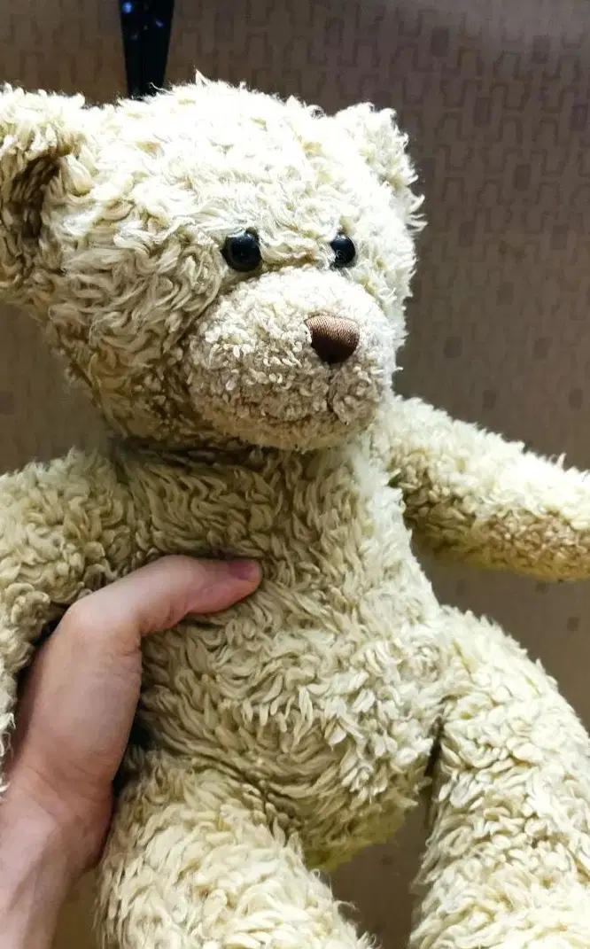 عروسک خرسی (Teddy)|اسباببازی بچه|مشهد, کلاهدوز|دیوار