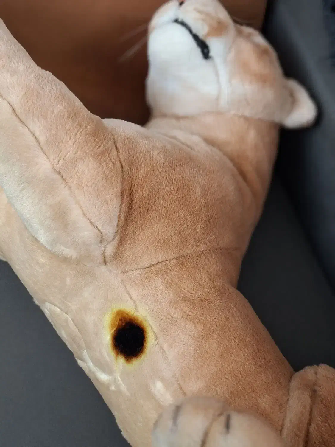 عروسک  ببر بزرگ|مجسمه، تندیس، ماکت|همدان, |دیوار