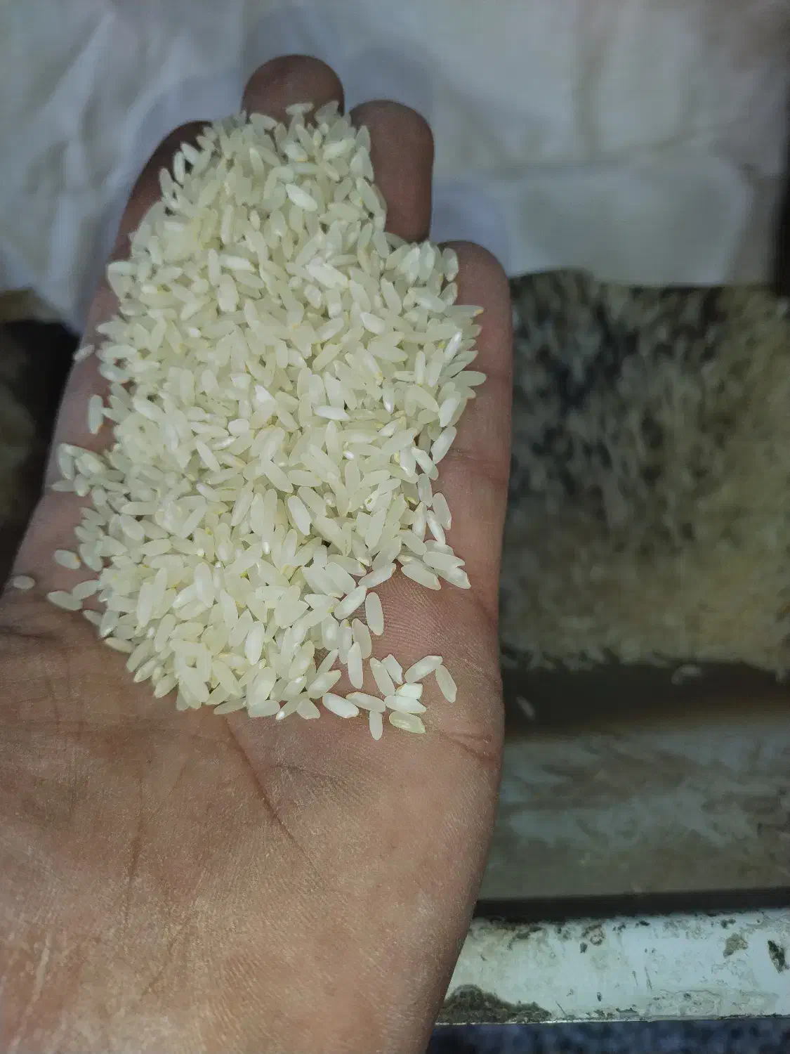 فروش عمده برنج لنجان جوزون تجاری|خوردنی و آشامیدنی|فولادشهر, مسکن مهر فولادشهر|دیوار