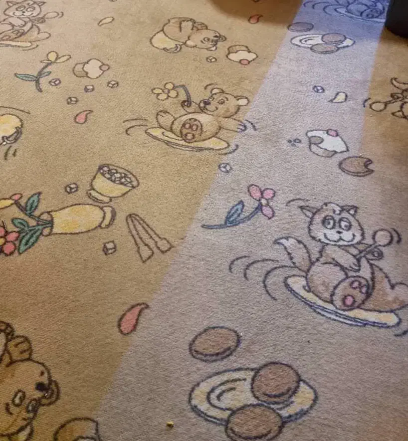 موکت پالاز|موکت|اصفهان, آبشار|دیوار