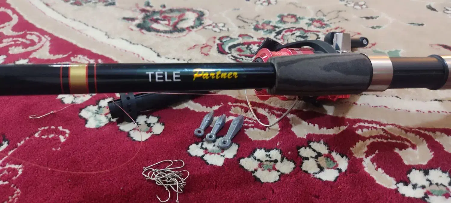 لنسر ماهیگیری|ماهیگیری|دوگنبدان, |دیوار