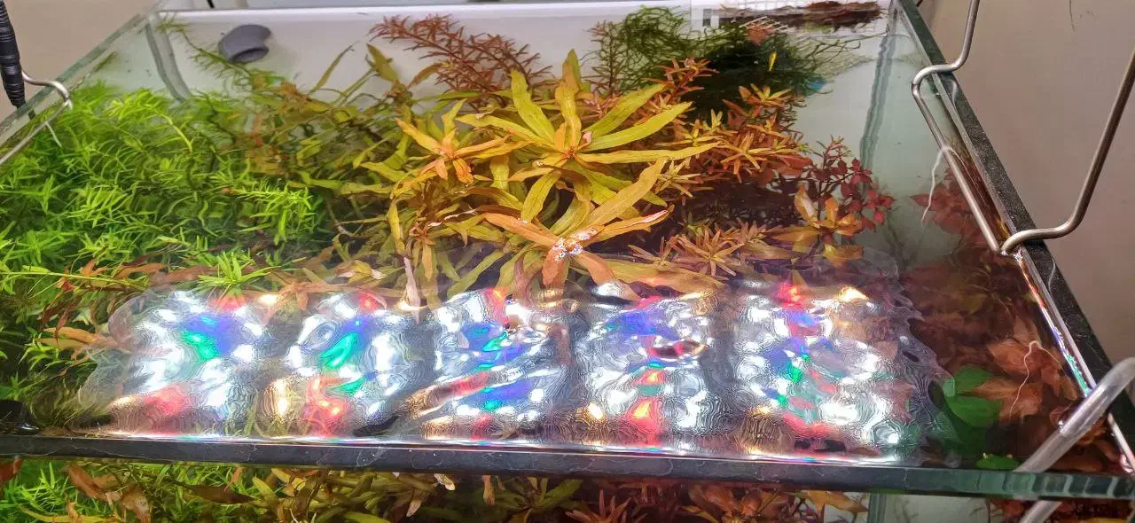 اکواریوم تجهیزات پلنت co2 دفیوزر خاک نور انوبیاس|ماهی|اصفهان, طامه|دیوار