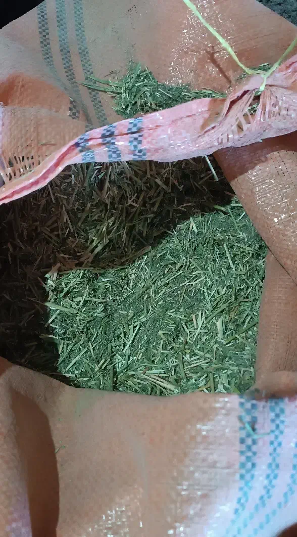 یونجه|لوازم جانبی حیوانات|نورآباد, |دیوار