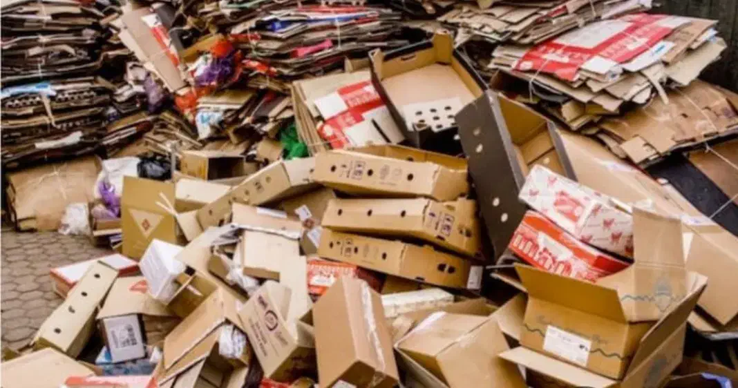 خریدار ضایعات کارتن دفترکتاب وغیره درب محل شما|عمدهفروشی|الوند, |دیوار