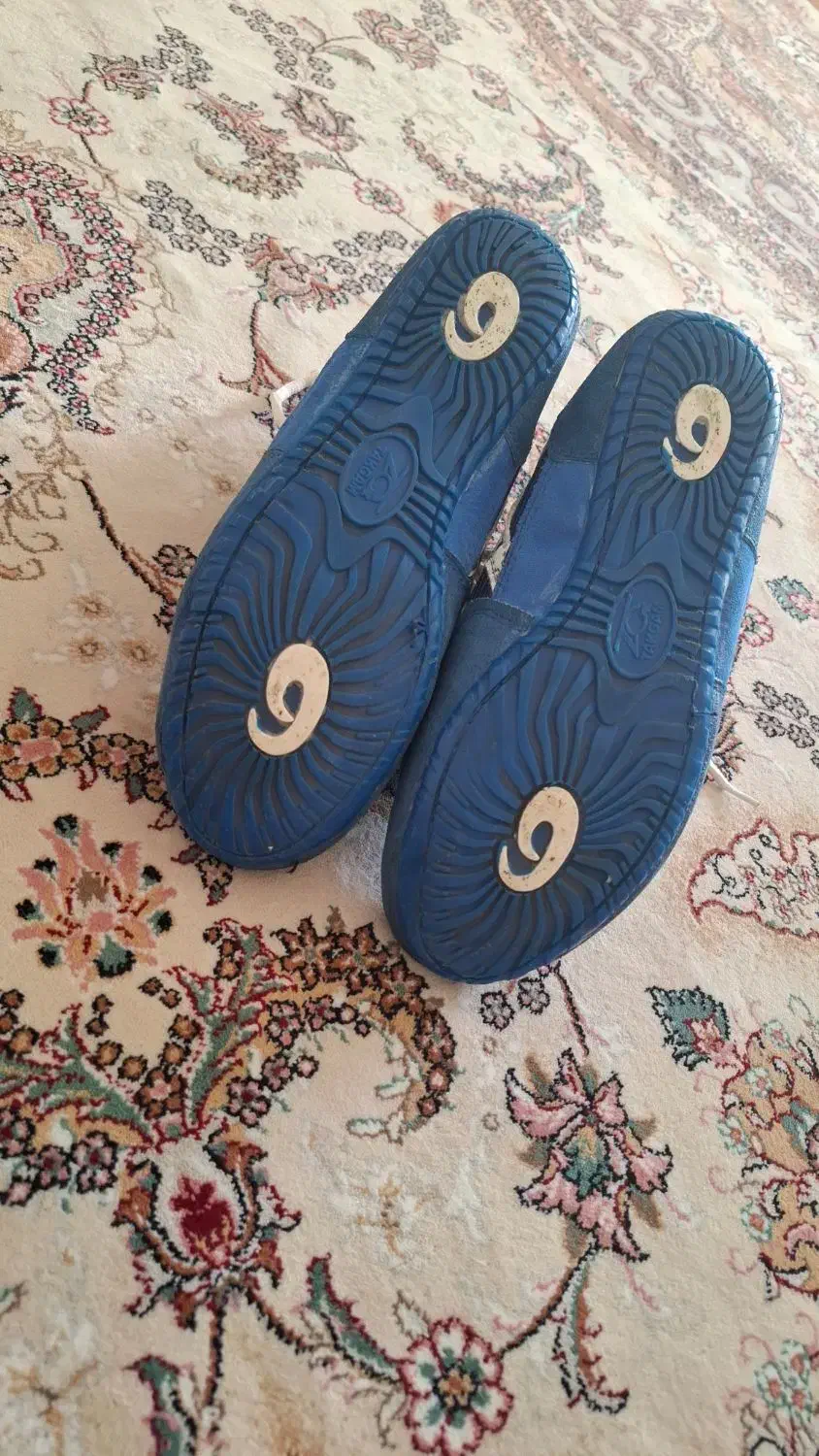 کفش کشتی در حد نو|کیف، کفش، کمربند|سلماس, |دیوار