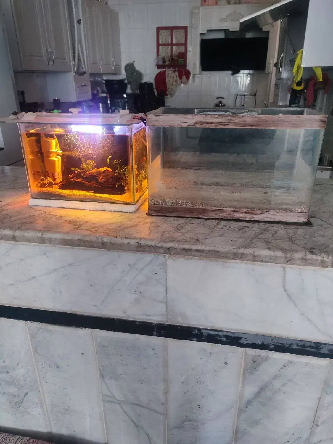 اکواریوم 2 عدد|ماهی|زاهدان, |دیوار