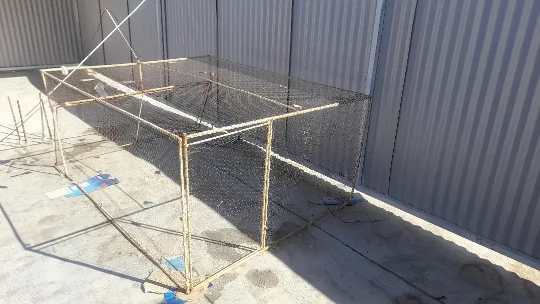 تور دام کبوتر|پرنده|زرند, |دیوار