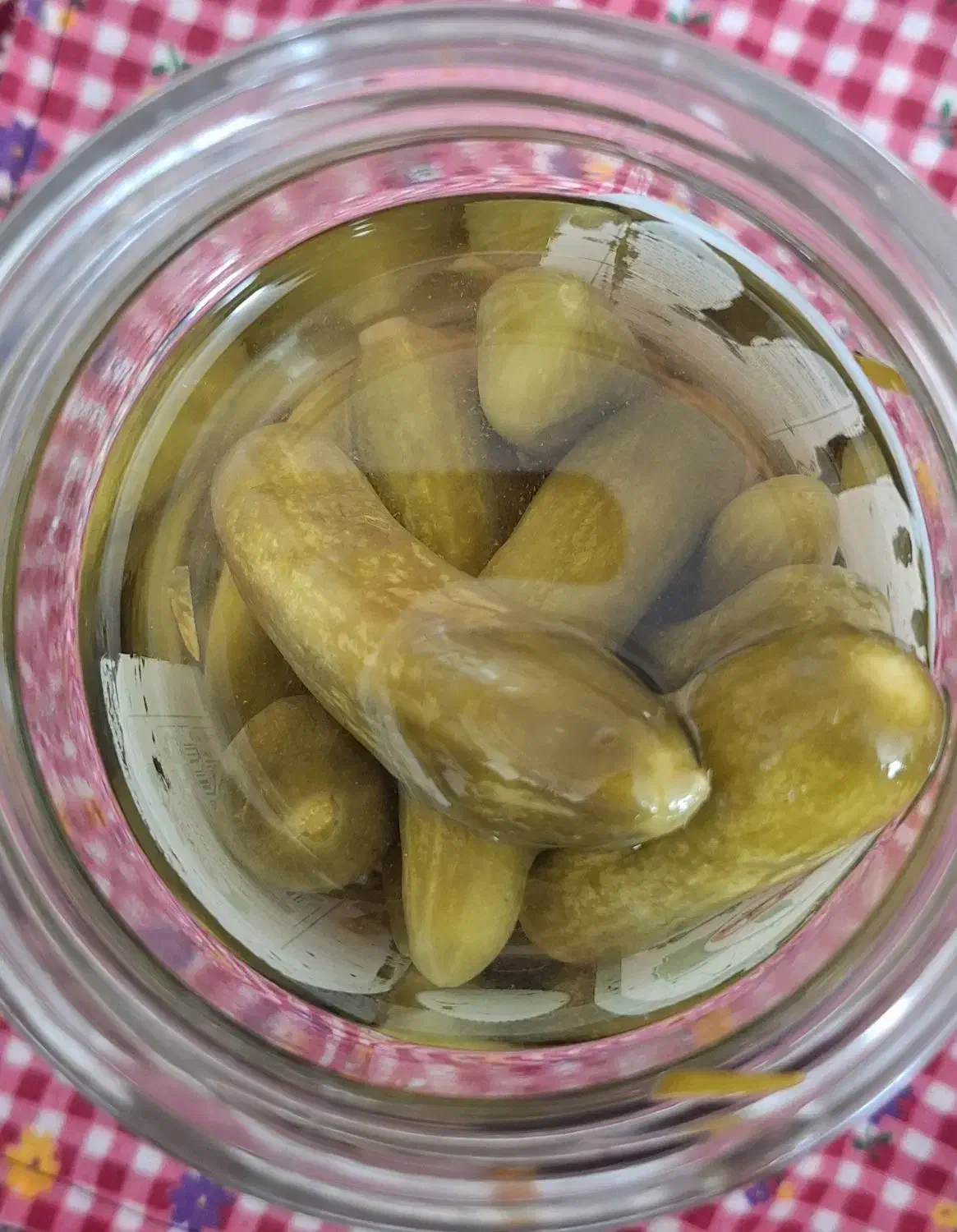 خیارشور ترد و خوشمزه|خوردنی و آشامیدنی|زنجان, |دیوار