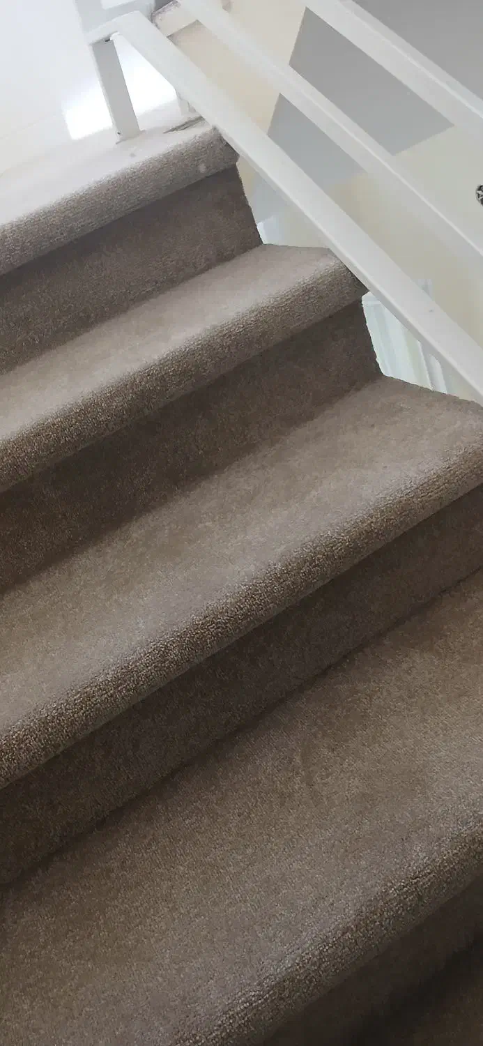 موکت عمده و خرده فروشی نقد و اقساط|موکت|همدان, |دیوار