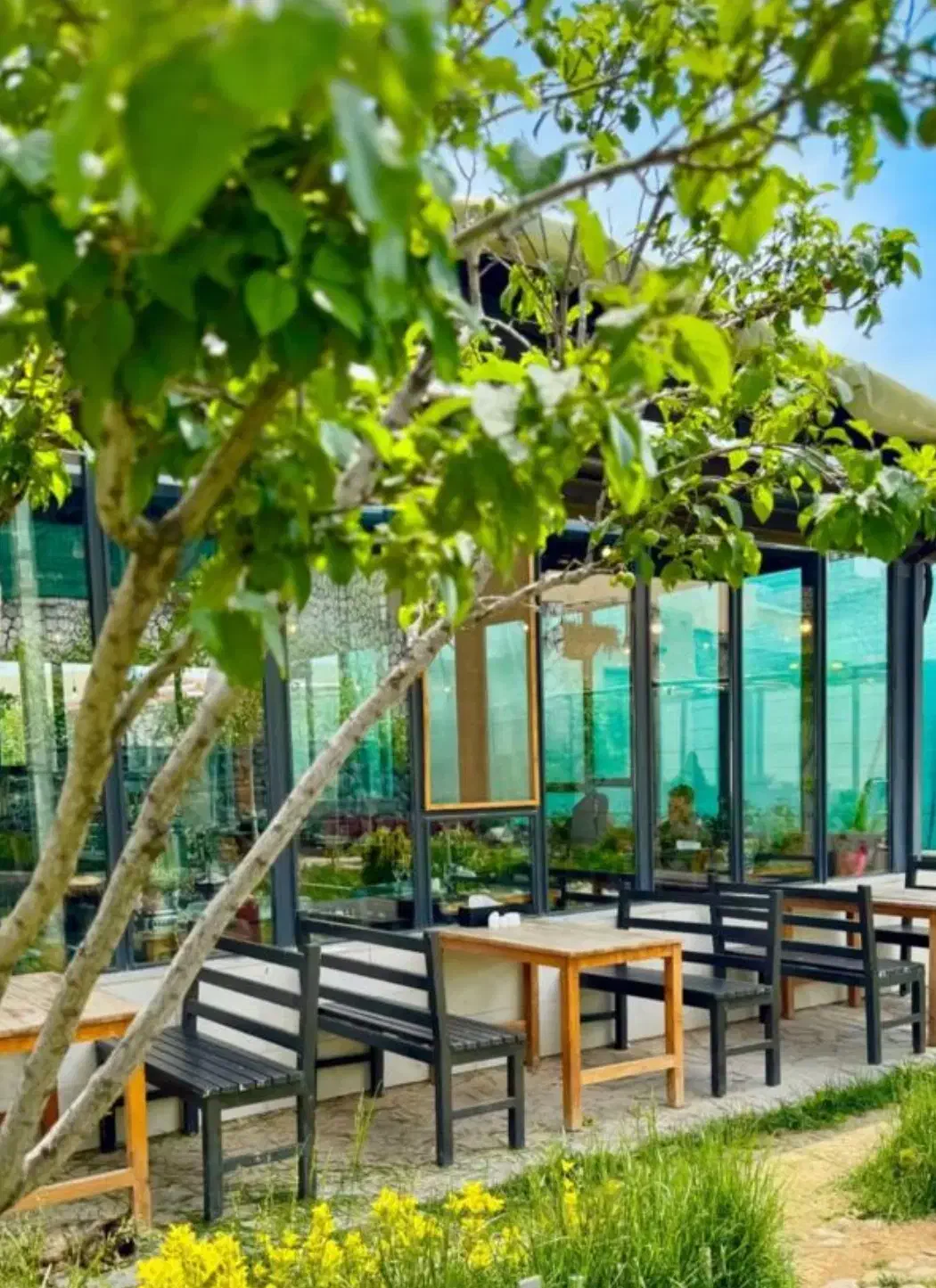 استخدام گارسون ، کمک آشپز و خانم جهت پخت خاگینه|استخدام خدمات فروشگاه و رستوران|تبریز, |دیوار