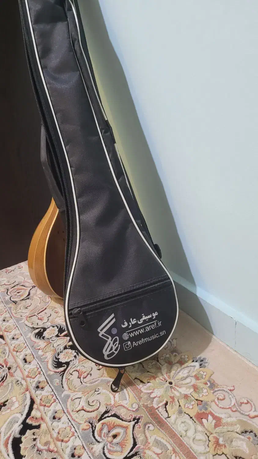 سه تار|سازهای سنتی|محمدیه-قزوین, |دیوار