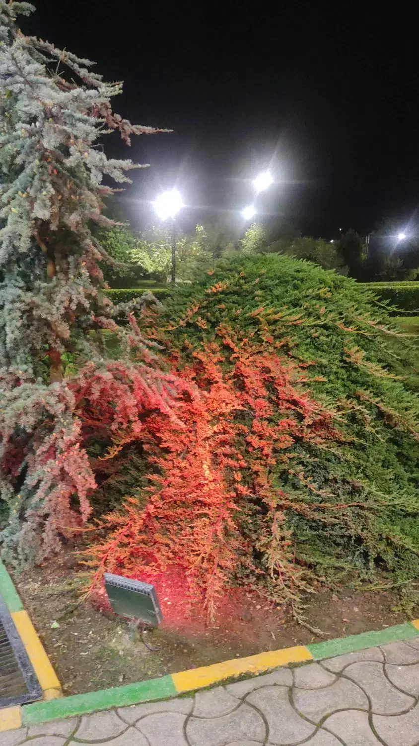 شیرینی برای یابنده کارت ملی گم شده|اشیا|ایلام, |دیوار