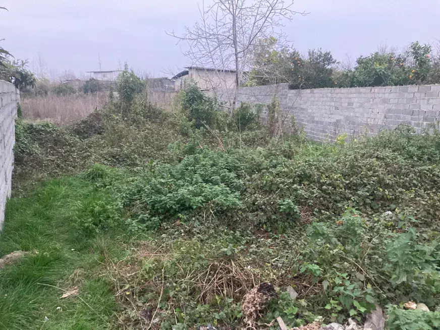 زمین رودپشت ساری شهرک فرهنگیان نیاوران|فروش زمین و ملک کلنگی|ساری, |دیوار