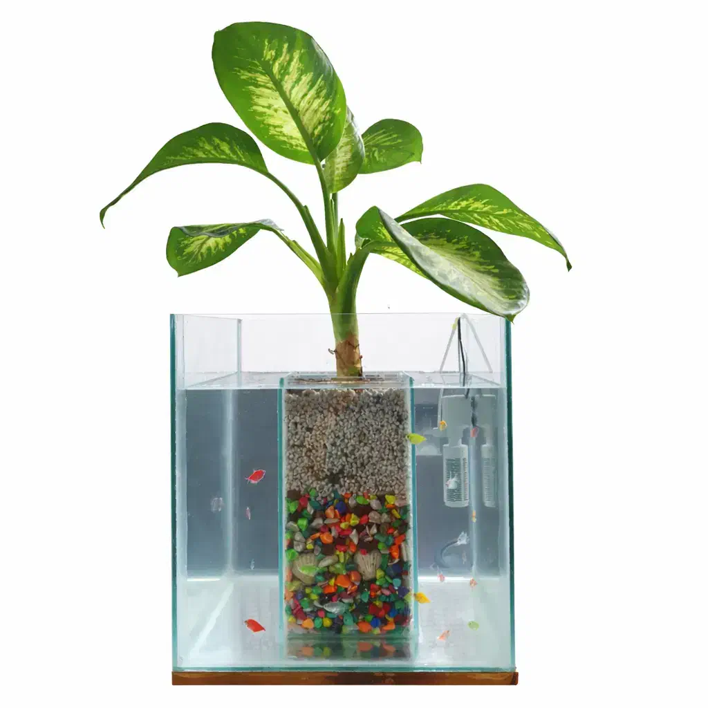 گلدان آکواریومی شیک|صنایع دستی و سایر لوازم تزئینی|قم, منبع آب|دیوار